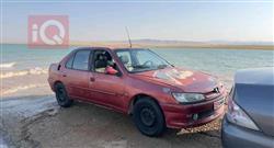 بيجو 306